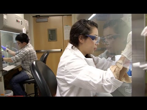High School Students Learning Stem Cell Research: The Future's Bright for Stem Cell Therapies