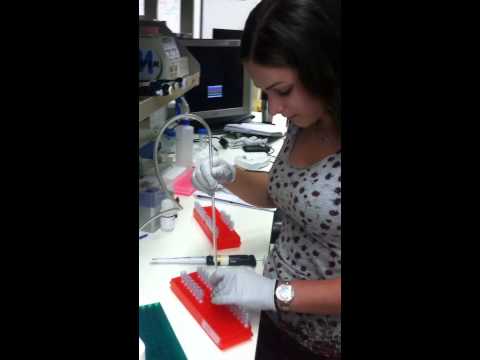 Erica Keane - High School Stem Cell Research Intern June 2013