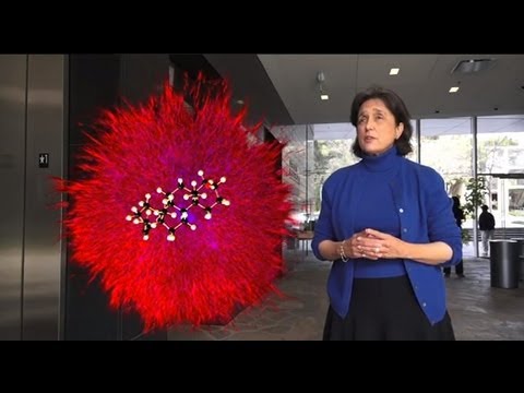 Roberta Brinton - CIRM Stem Cell #SciencePitch Challenge