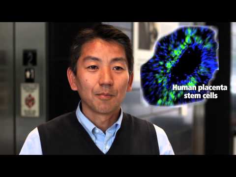 Toshio Miki - CIRM Stem Cell #SciencePitch Challenge