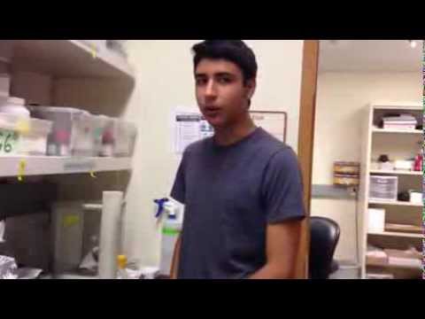 Andrew Moreno - High School Stem Cell Research Intern - Summer 2013