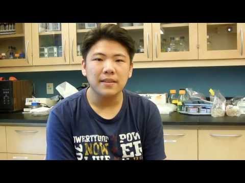 Alexander Cheng - High School Stem Cell Research Intern - Summer 2013