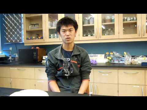 Ted Zhu - High School Stem Cell Research Intern - Summer 2013