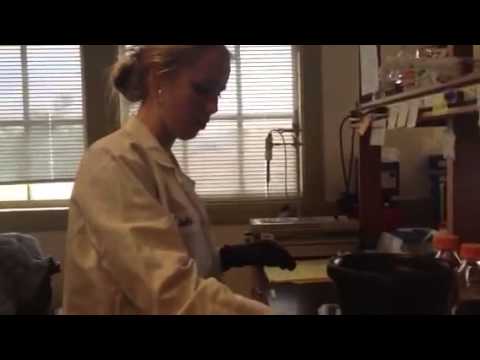 Caroline Desler - High School Stem Cell Research Intern - Summer 2013, Video Project 2