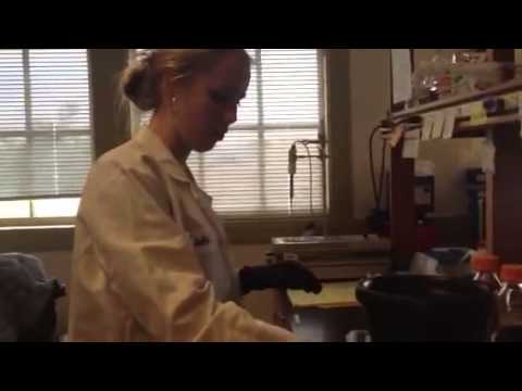 Caroline Desler - High School Stem Cell Research Intern - Summer 2013, Video Project 2