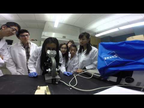 Let It Grow - High School Stem Cell Researchers - City of Hope