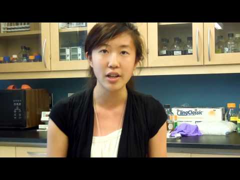 Margaret Shen - High School Stem Cell Research Intern - Summer 2013