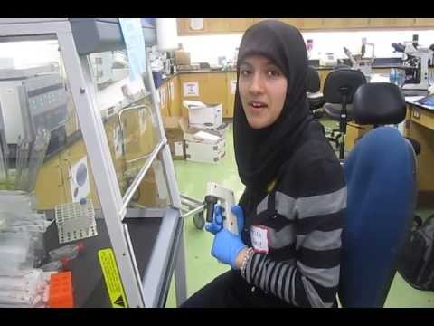 Fyezah Nazir - High School Stem Cell Research Intern - Summer 2013