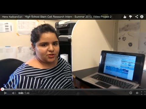 Hera Nalbandian - High School Stem Cell Research Intern - Summer 2013, Video Project 2