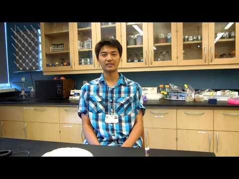 Steven Wang - High School Stem Cell Research Intern - Summer 2013