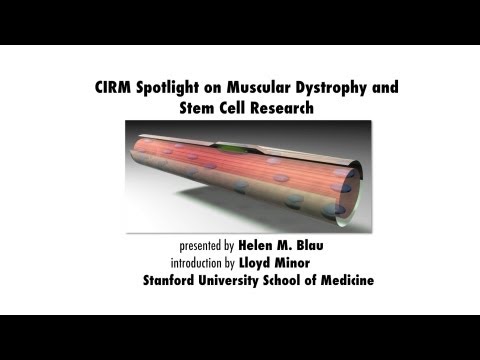 Duchenne Muscular Dystrophy and Stem Cell Research - Helen Blau, Stanford Medicine