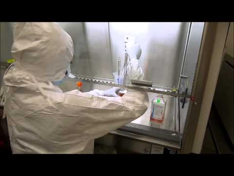 Maya Varma - High School Stem Cell Research Intern June 2013