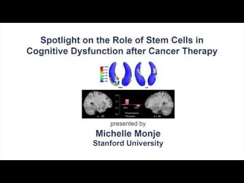 Role of Stem Cells on Cognitive Dysfunction after Cancer Therapy