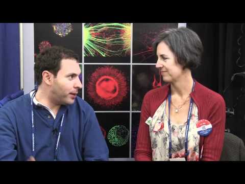 Ben Kaplan: Real progress in stem cell research