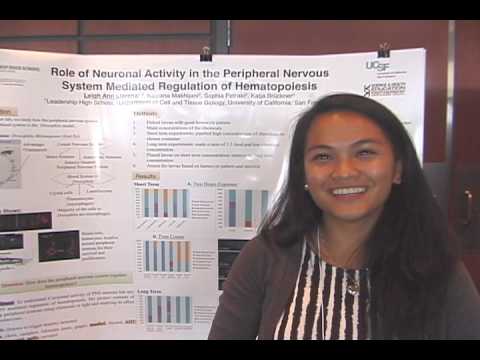 Leigh Ann Llarena - High School Stem Cell Research Intern - July Summer 2013