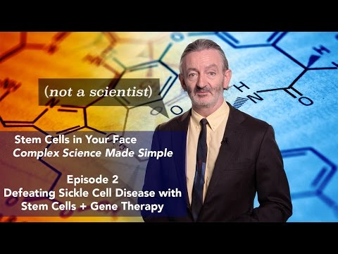 Defeating Sickle Cell Disease with Stem Cells + Gene Therapy: Stem Cells in Your Face, Episode 2
