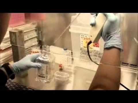 Ray, Erik, Dustin, & Matthew - High School Stem Cell Research Interns - Summer 2013