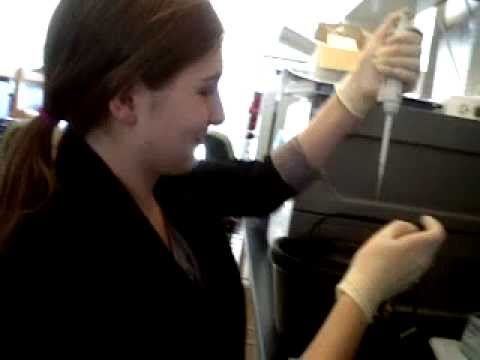 Yevheniya Shevchenko - High School Stem Cell Research Intern June 2013