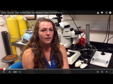 Carly Larsson - High School Stem Cell Research Intern Summer 2013