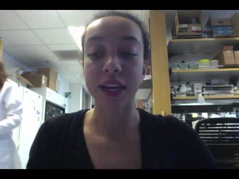 Ariel Lowrey - High School Stem Cell Research Intern - Summer 2013 Video Project 2