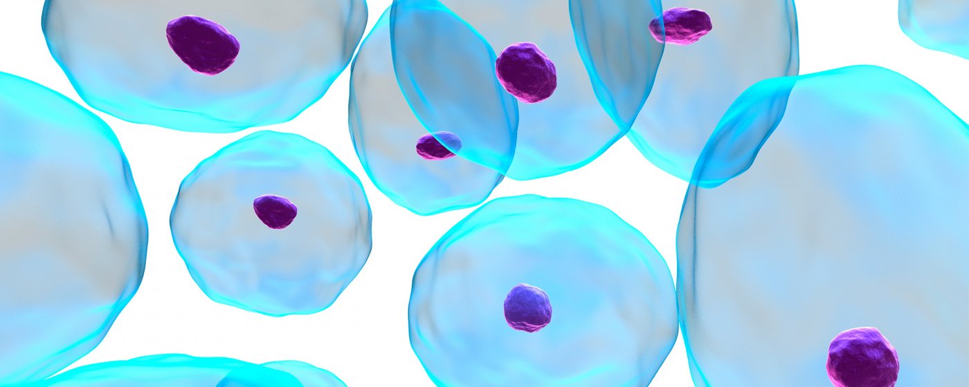 iPSC initiative photo of stem cells