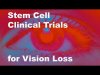 Eyeing Stem Cell Therapies for Vision Loss