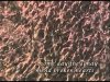 Valentine's Day Stem Cell Wish: Mending Broken Hearts