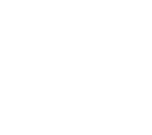 Data Science and Software Engineering Awards – CIRM